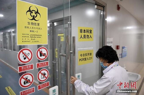 探訪北京新冠肺炎病毒核酸檢測服務(wù) 自費260元背后的高效與便捷