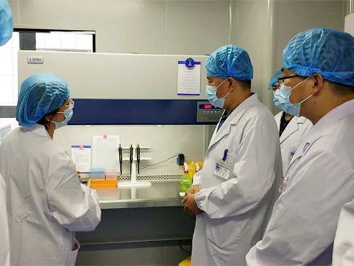 我市四家核酸檢測實(shí)驗(yàn)室全部建成投用，日最高檢測能力近五千人份