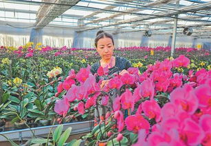 網上的人民日報